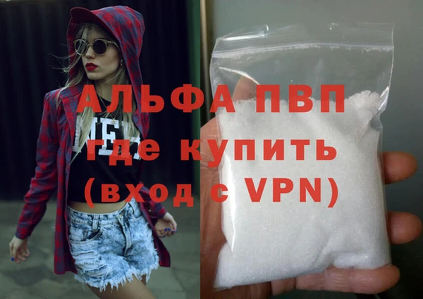 PSILOCYBIN Инсар