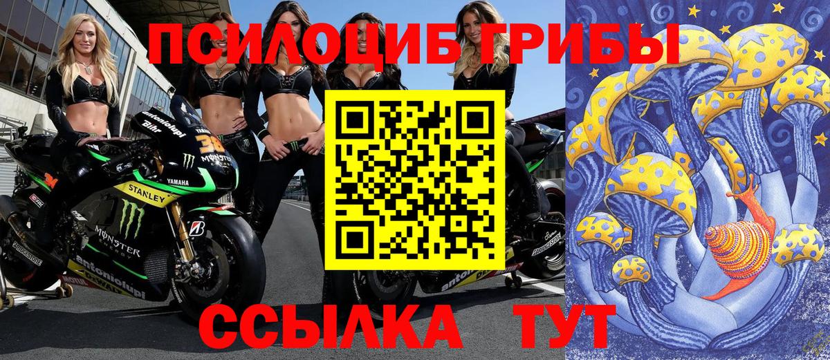 сколько стоит  Вход с VPN  Воткинск  Псилоцибиновые грибы Magic Shrooms 